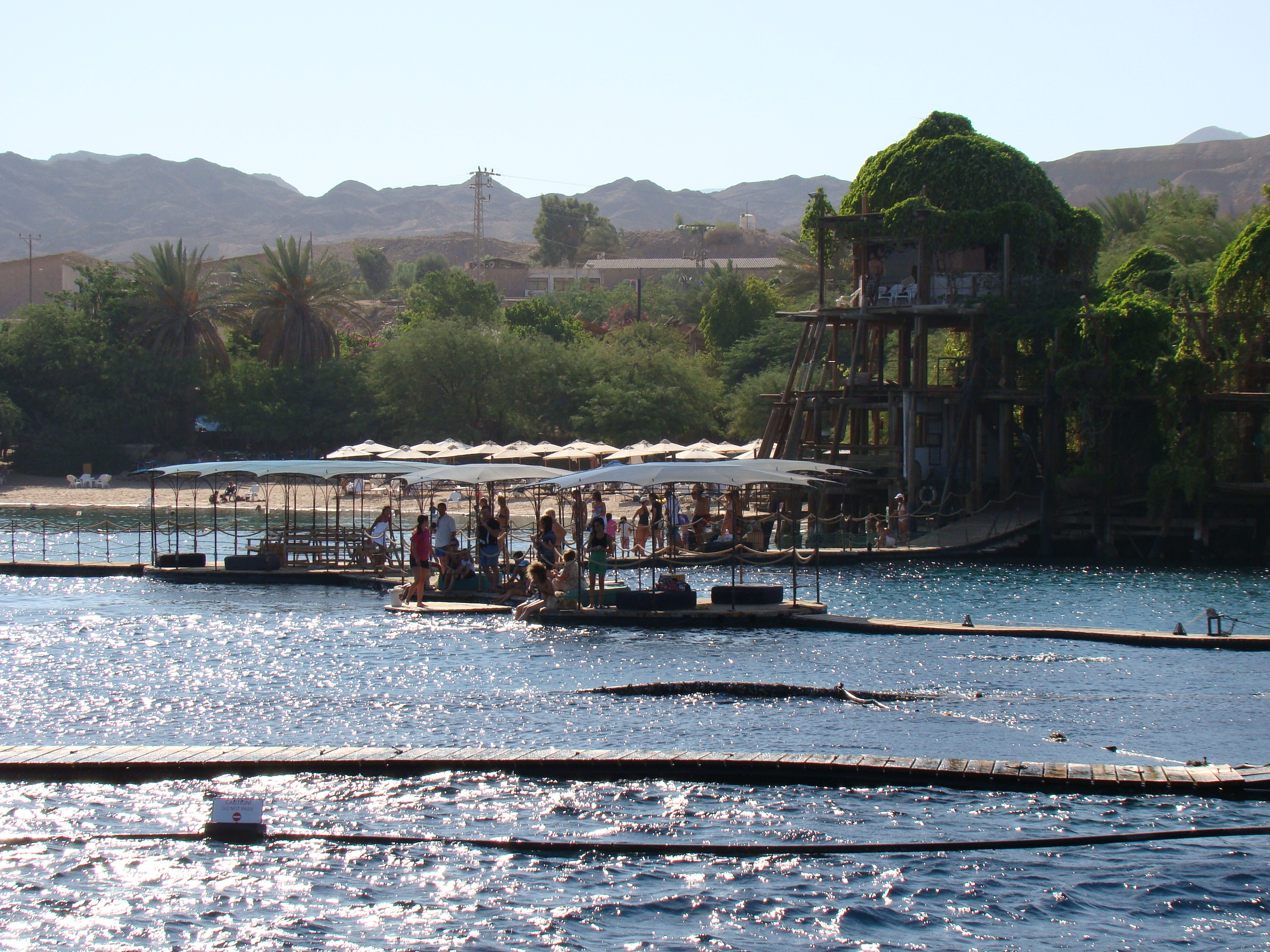 Bild zu Dolfinim | Eilat