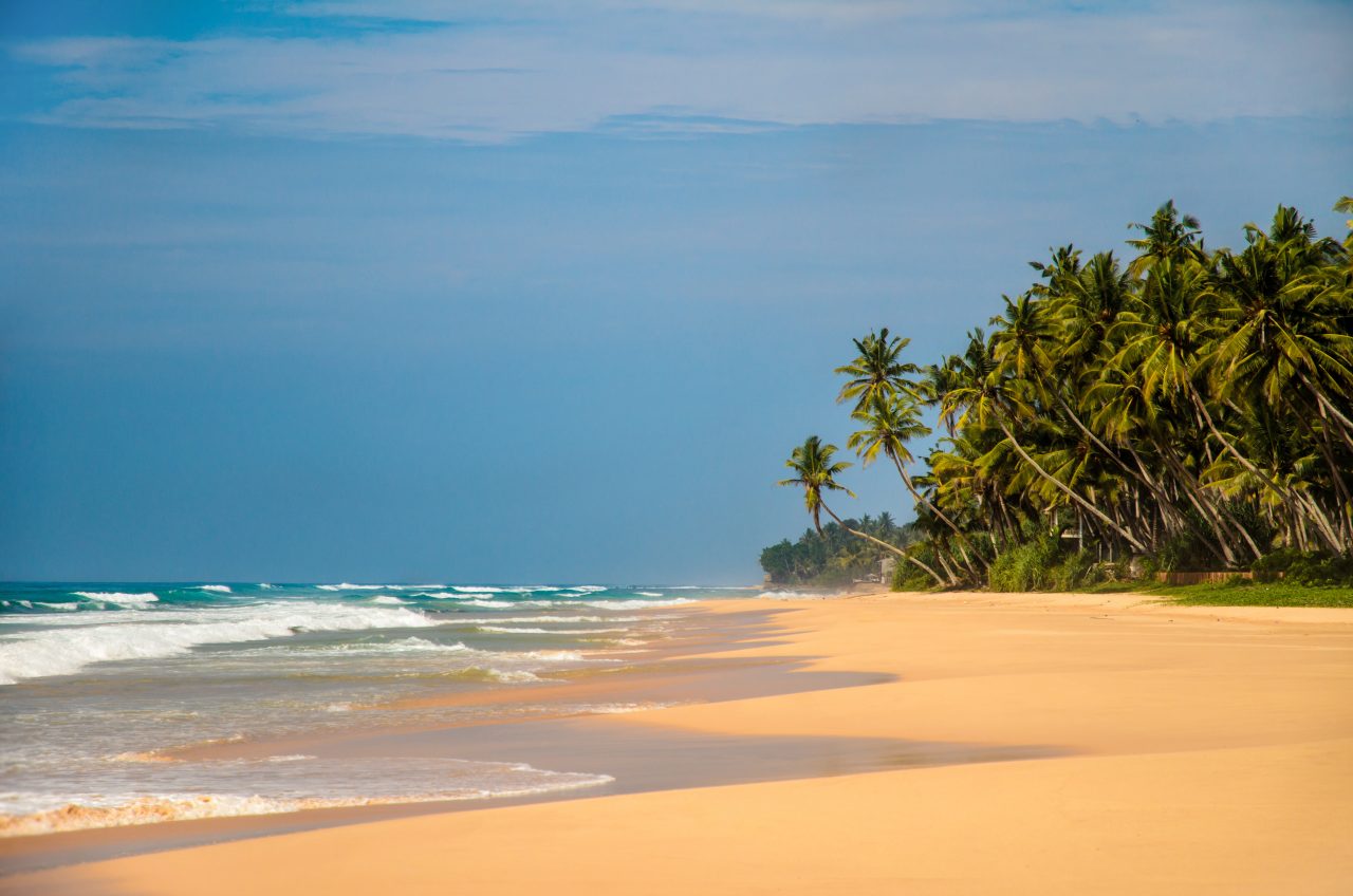 Bild zu ANANDA | Sri Lanka