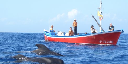 Bild zumValle Gran Rey - La Gomera - Ozeanische Wochen