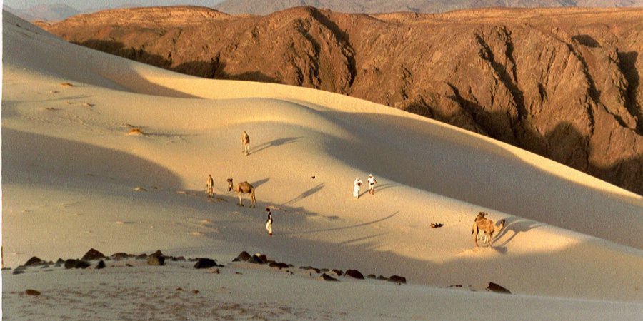 Bild zumMeditative Wüstenreisen - Sinai