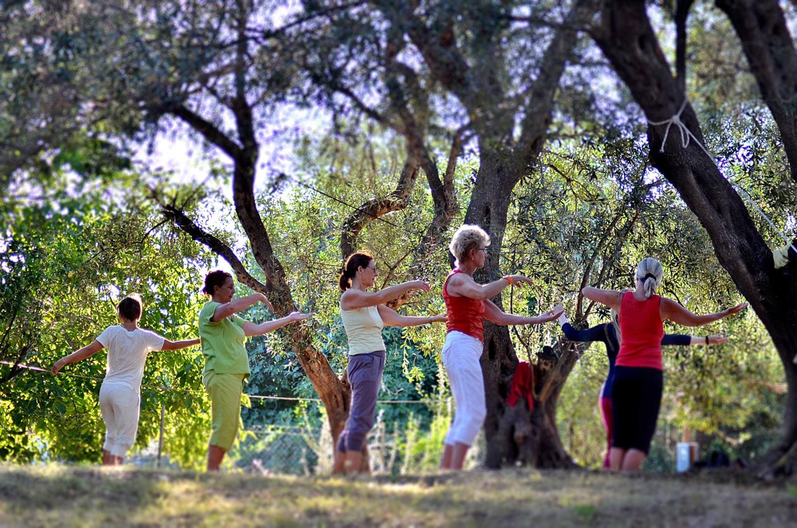 Unsere Qigong Kurse   - Ouranos Club