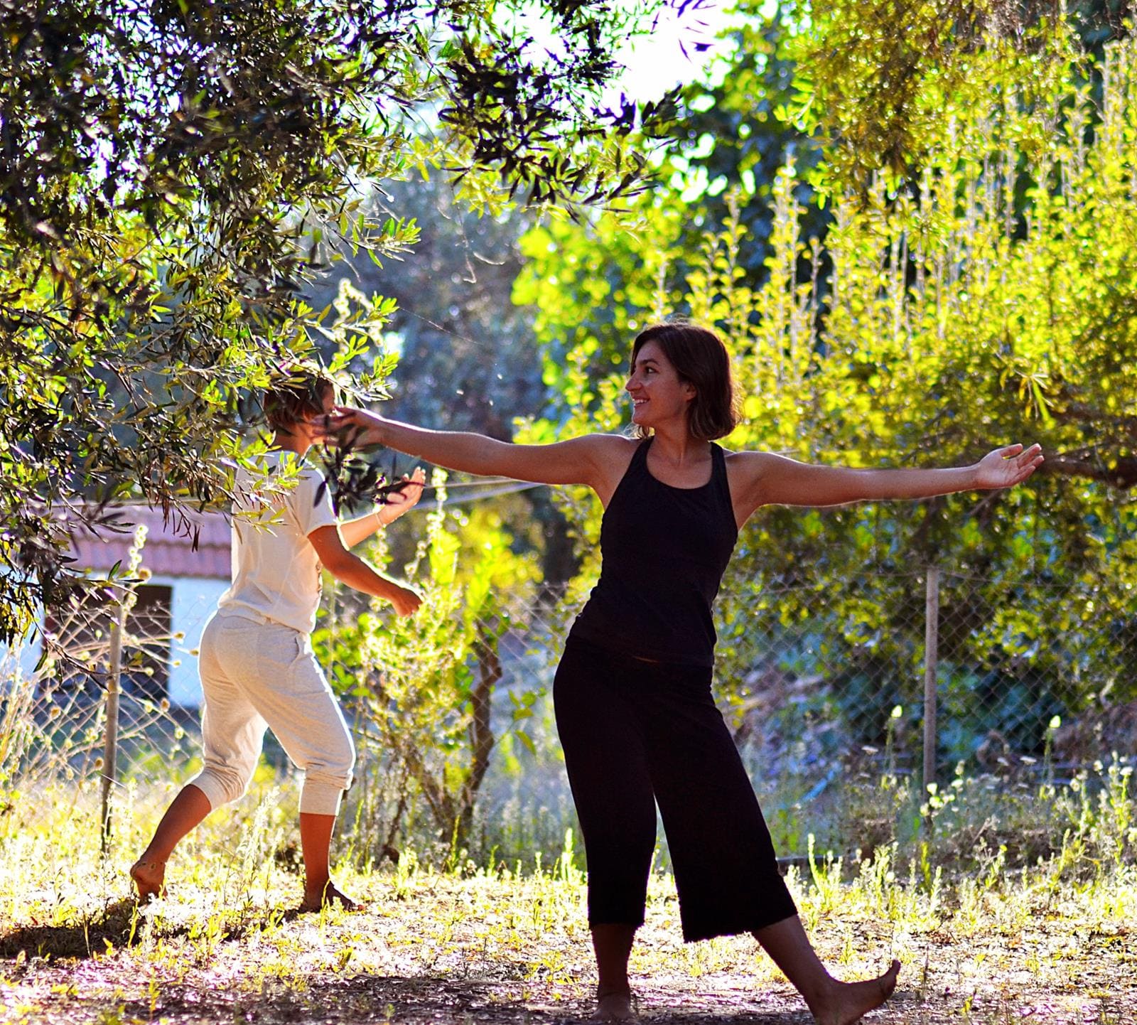 Qigong Kurse zum Entspannen  - Ouranos Club